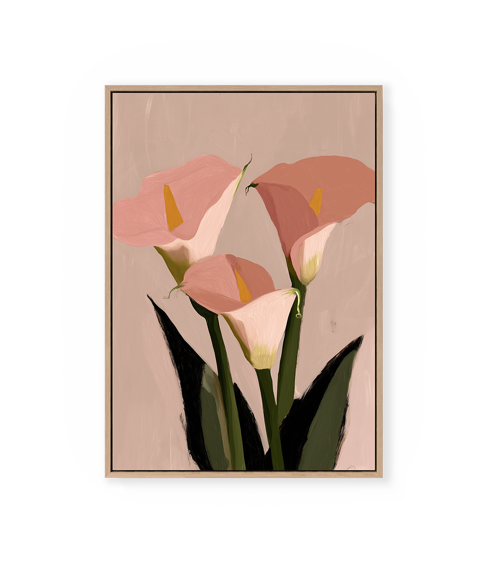 Blushing Rose Water Lilies